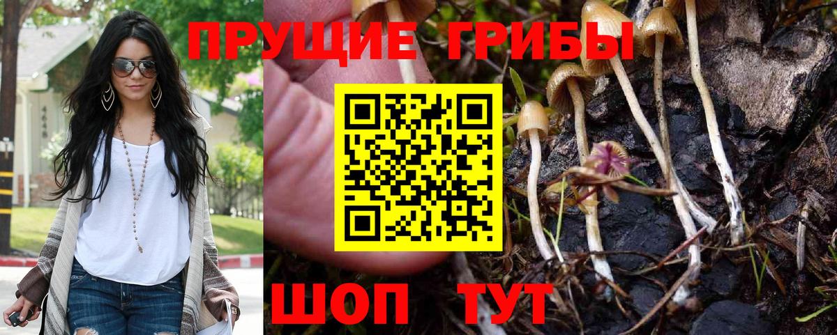 Галлюциногенные грибы GOLDEN TEACHER  Вход с VPN  Евпатория 